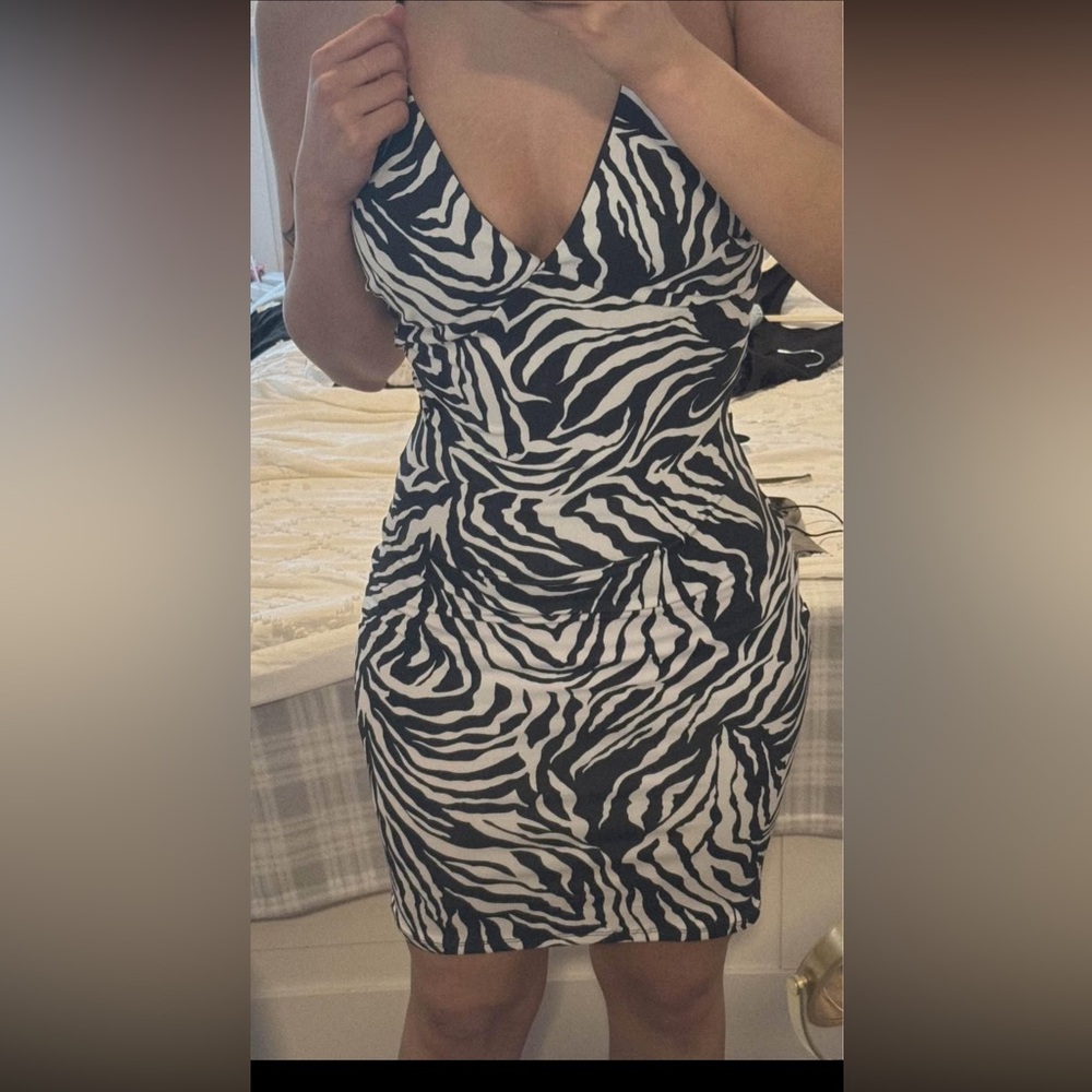 Zebra Print V-Neck Dress